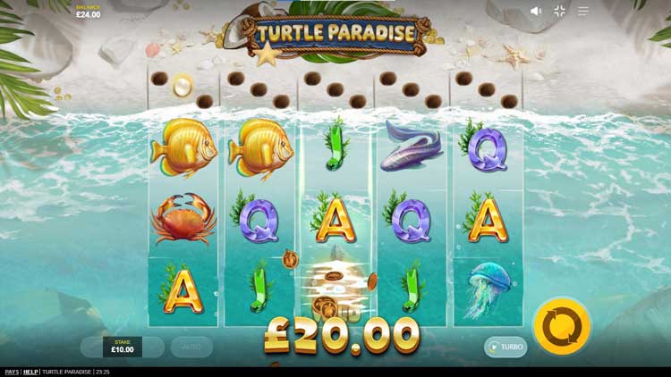 Turtle Paradise slot machine gameplay